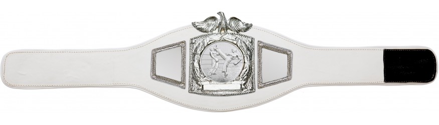 PROEAGLE KICKBOXING CHAMPIONSHIP BELT - PROEAGLE/S/KBOS - AVAILABLE IN 6+ COLOURS